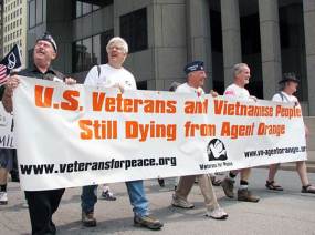 American, Australian, Canidan and Korean veterans have struggled for decades to get assistance for Agent Orange affected soldiers and their families. Several court cases have been rejected due to legal technicalities. After years of lobbying, US veterans now have limited access to medical assistance through a US Defence Department programme.
